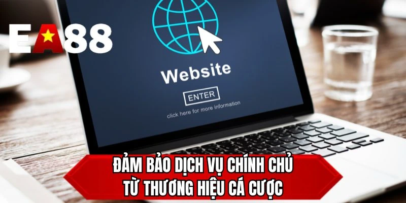Đảm bảo dịch vụ chính chủ từ thương hiệu cá cược