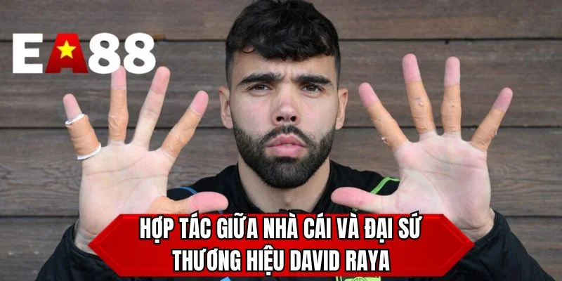 Hợp tác giữa nhà cái và đại sứ thương hiệu David Raya