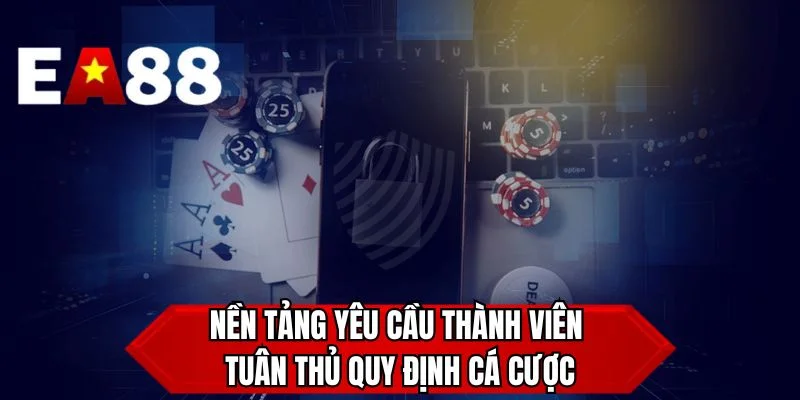 Nền tảng yêu cầu thành viên tuân thủ quy định cá cược