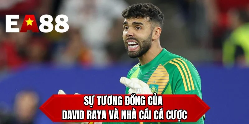 Sự tương đồng của David Raya và nhà cái cá cược