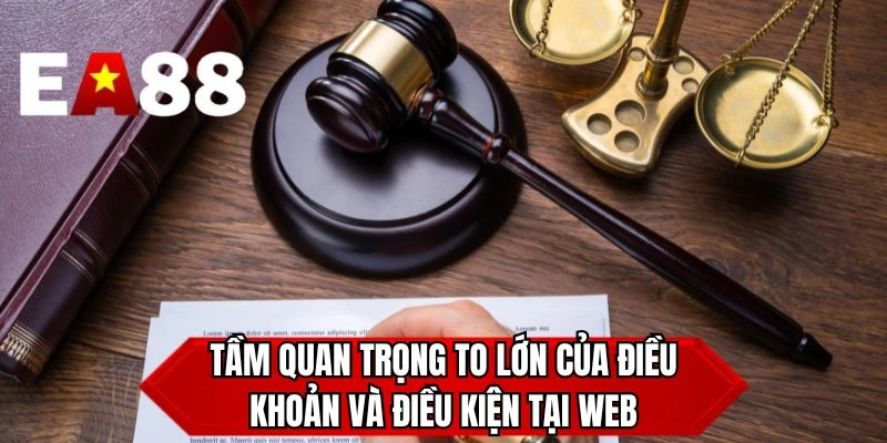 Tầm quan trọng to lớn của điều khoản và điều kiện tại web